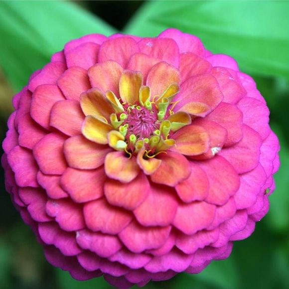 Meet your Posher, Emily - Picture 1 of 1