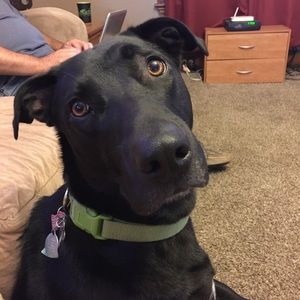 Meet your Posher, Joellen