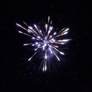 Meet your Posher, Maddie