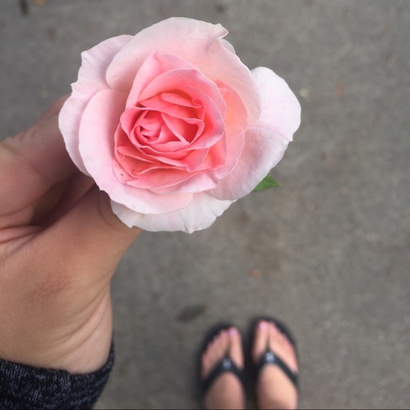 Meet your Posher, Grace