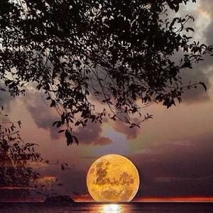 Meet your Posher, Glenda