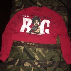 Notorious crop top sweater