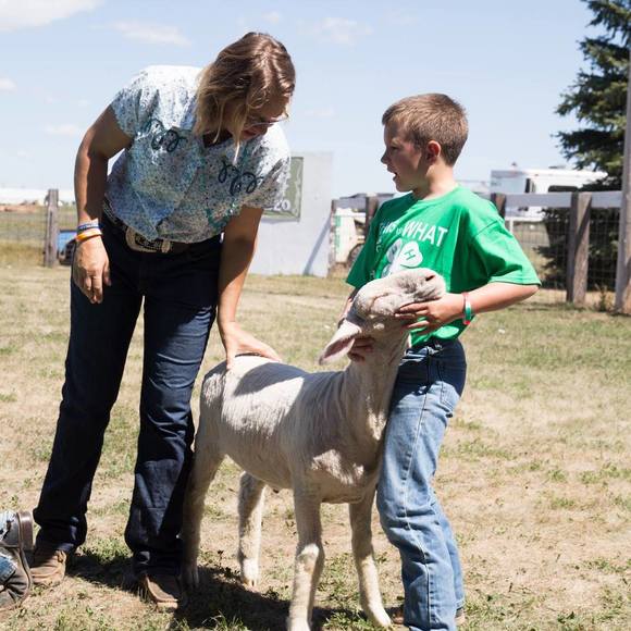 Meet your Posher, Misty - Picture 1 of 1