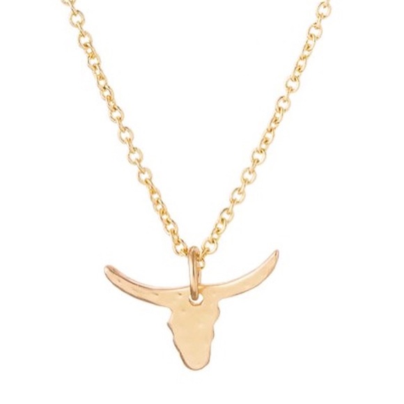 💥Longhorn fans💥Tiny longhorn necklace.