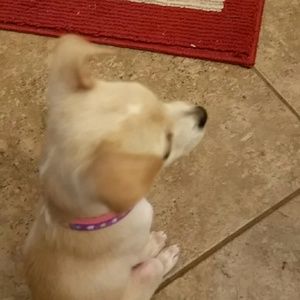 Meet your Posher, Angela