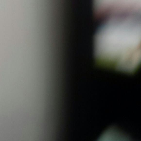 Meet your Posher, Audrey - Picture 1 of 1