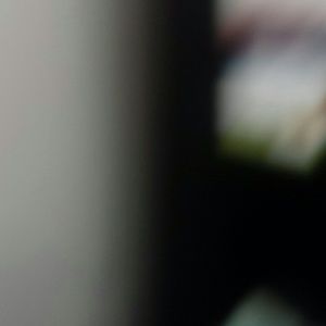 Meet your Posher, Audrey