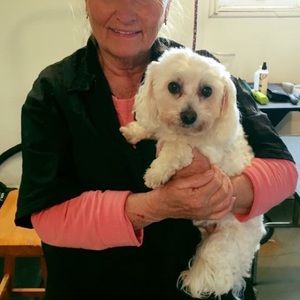 Meet your Posher, Naomi