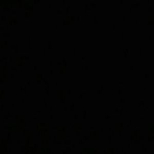 Meet your Posher, Lou