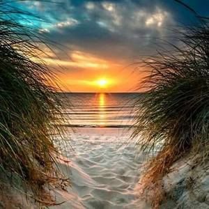 Meet your Posher, Sheila