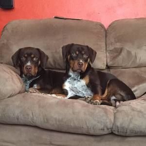 Meet your Posher, Nicci