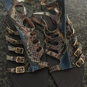 🐊🐯Dollhouse SOLD print gladiator sandals🐶🐻