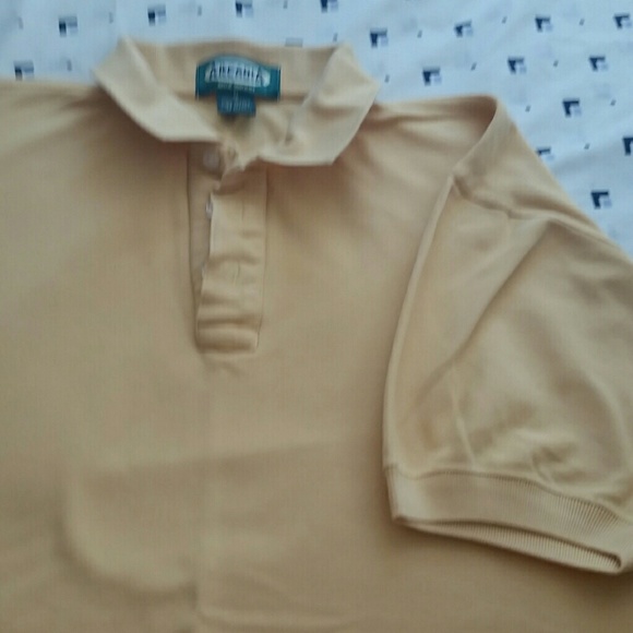 Polo - Picture 2 of 3