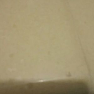 Meet your Posher, Ericka