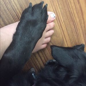 Meet your Posher, Erin