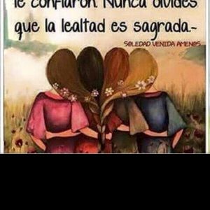 Meet your Posher, Luz