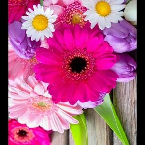 Meet your Posher, Emily