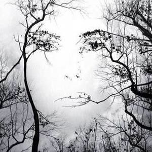 Meet your Posher, Jo