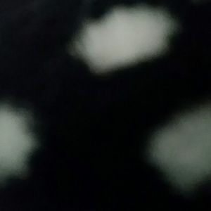 Meet your Posher, Krystal