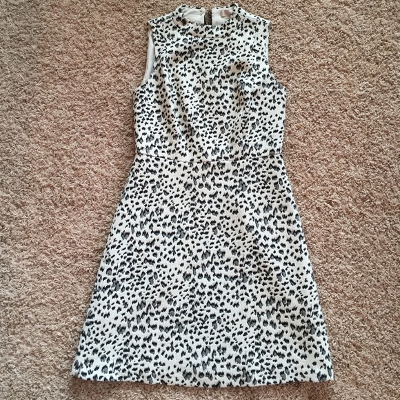 Loft Snow Leopard Dress Size 4