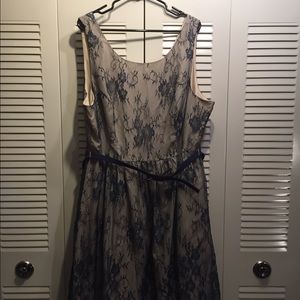 Modcloth 3x cream and navy lace dress.