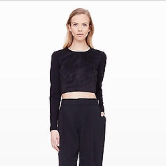 Club Monaco Black Crop Top