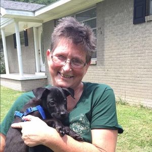 Meet your Posher, Joyce