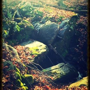 Meet your Posher, Wallace