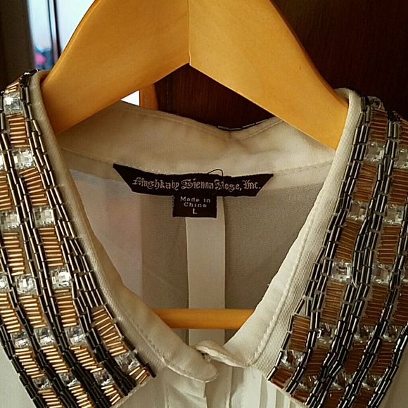 Button Down Sheer Blouse - image 3