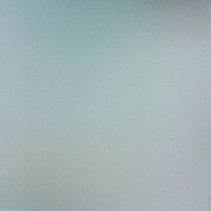 Meet your Posher, Renzo