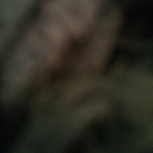 Meet your Posher, Catlli