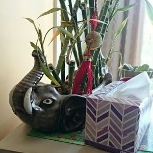 Meet your Posher, Agnes