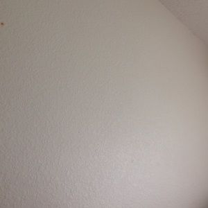 Meet your Posher, Ali