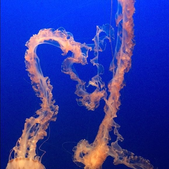 Meet your Posher, Nada