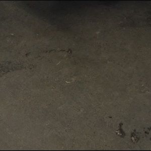 Meet your Posher, Kai