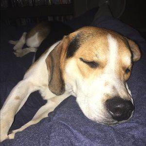 Meet your Posher, Payton