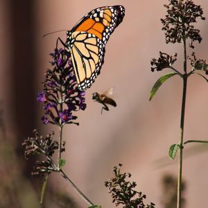 Meet your Posher, Michele