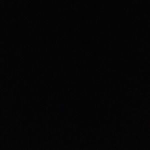 Meet your Posher, Johneisha