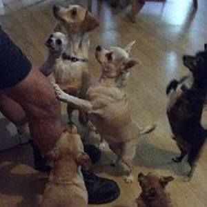 Meet your Posher, Mary