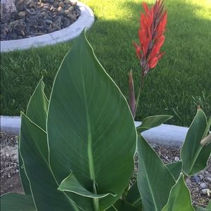 Meet your Posher, Elvia