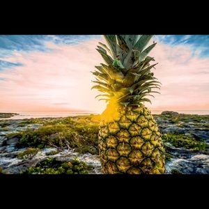 Meet your Posher, Braxton