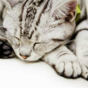 Meet your Posher, Ruth