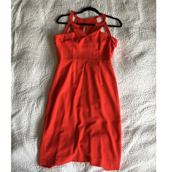 BCBG orange dress