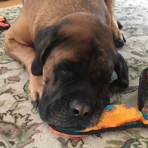 Meet your Posher, Hope