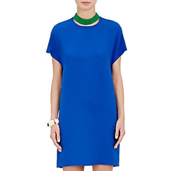 NEW Lisa Perry Division Dress