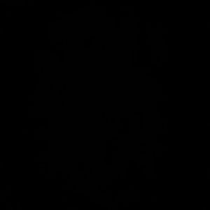 Meet your Posher, Bernice