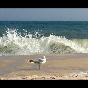 Meet your Posher, Beth