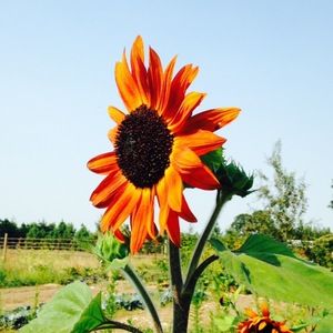 Meet your Posher, Christa