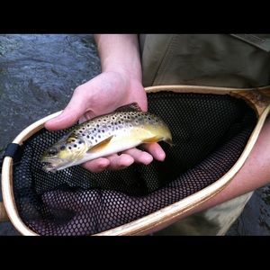 Meet your Posher, Conner