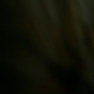 Meet your Posher, Olyria